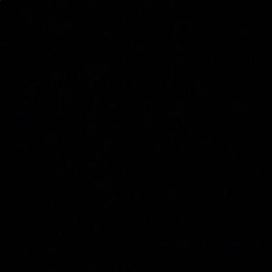 Meet your Posher, Adan